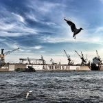 All you need is love